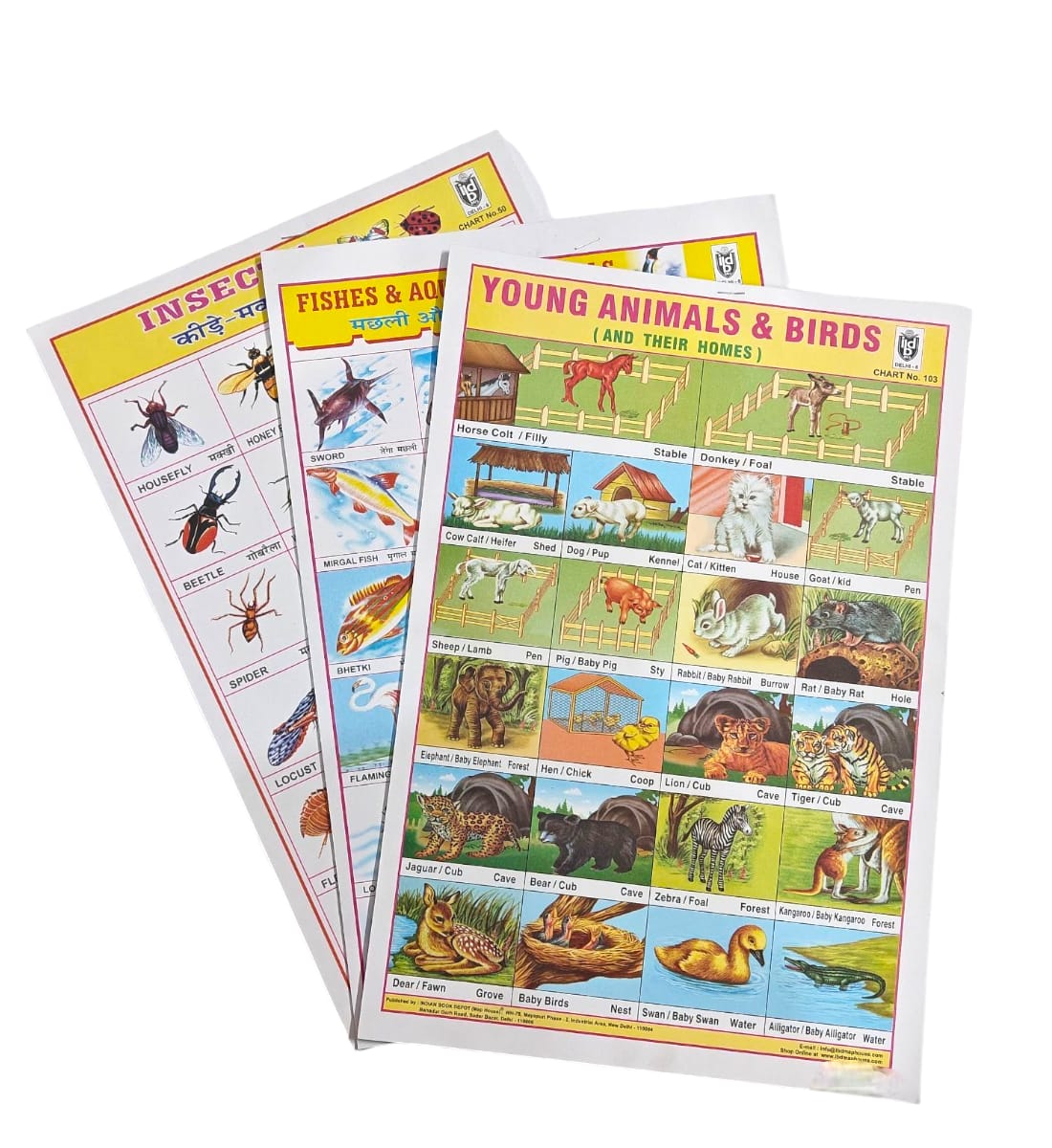 Animals, Birds & Their Homes Sticker Chart | Fishes, Aquatic Animals & Insects Charts | 3 Sheets, 70 Stickers |Hindi & English Learning Chart for Kids